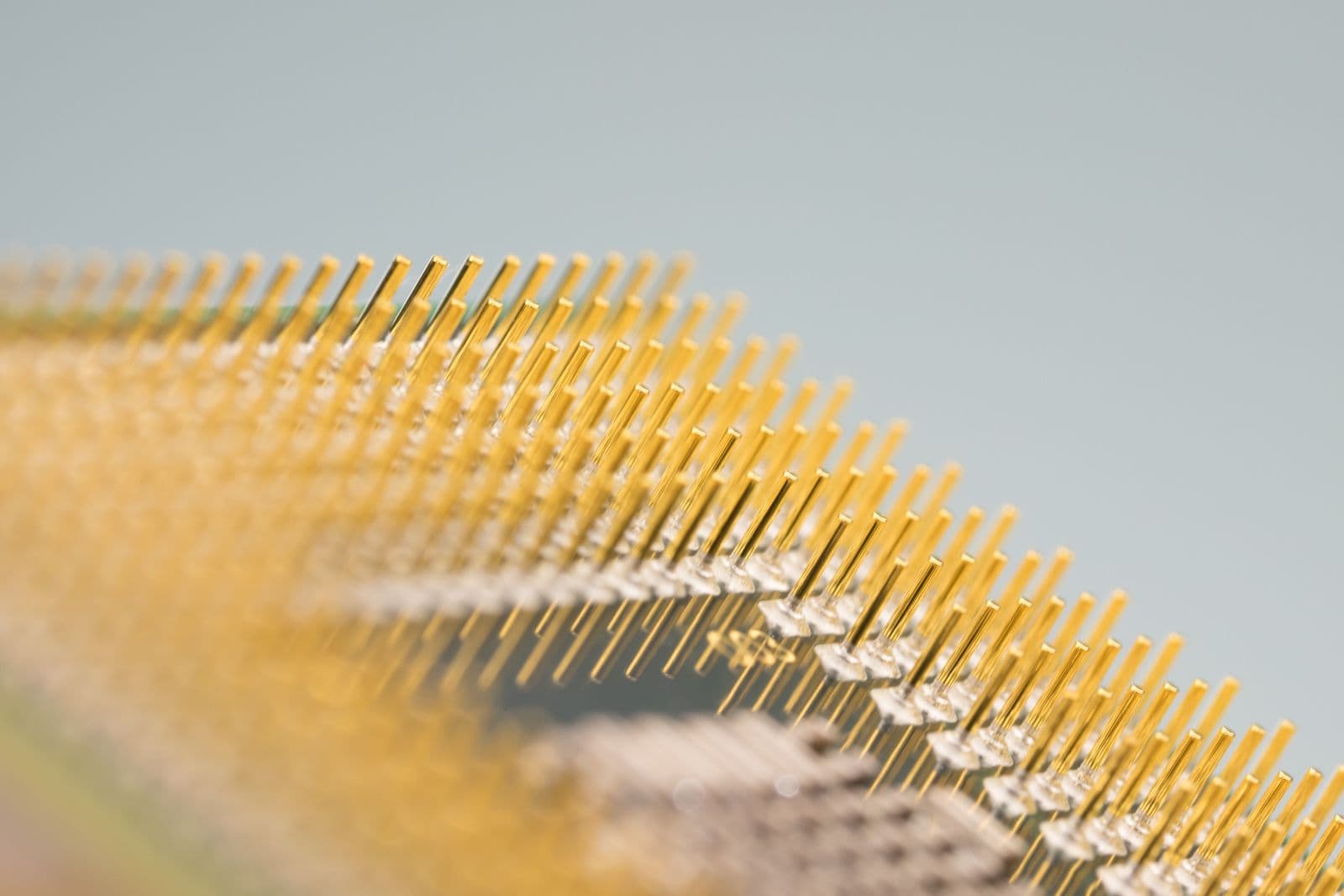 Macro of a processor's dense gold contact array